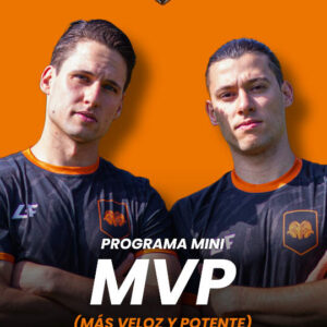 Mini MVP